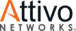 Attivo Networks